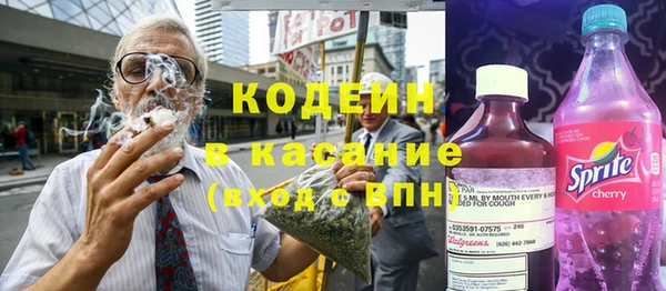 прущие грибы Абинск