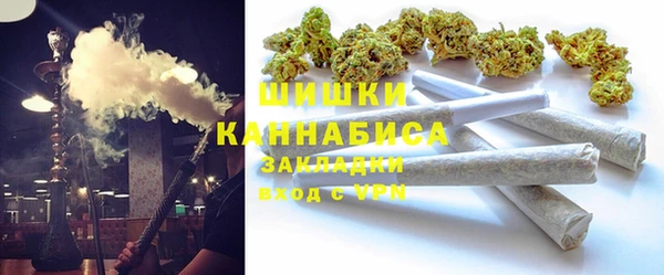 прущие грибы Абинск