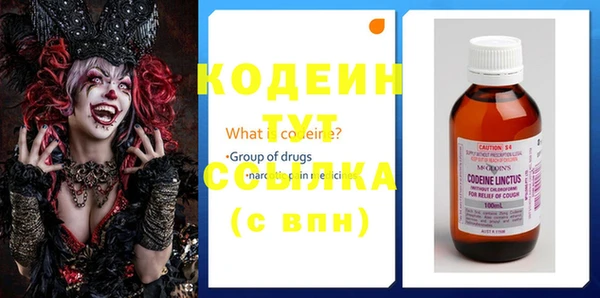 прущие грибы Абинск
