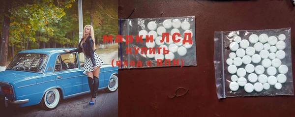 прущие грибы Абинск