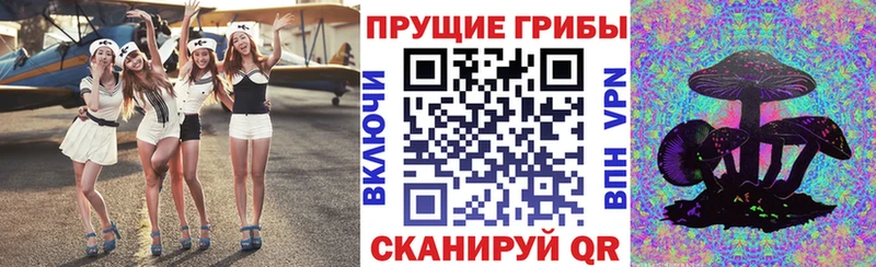 Галлюциногенные грибы прущие грибы  Стерлитамак 